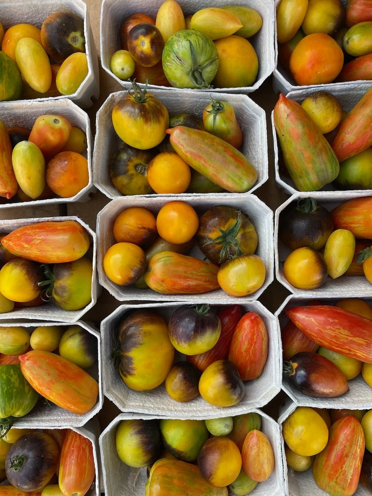 Heirloom-Paradeiser in Kartons